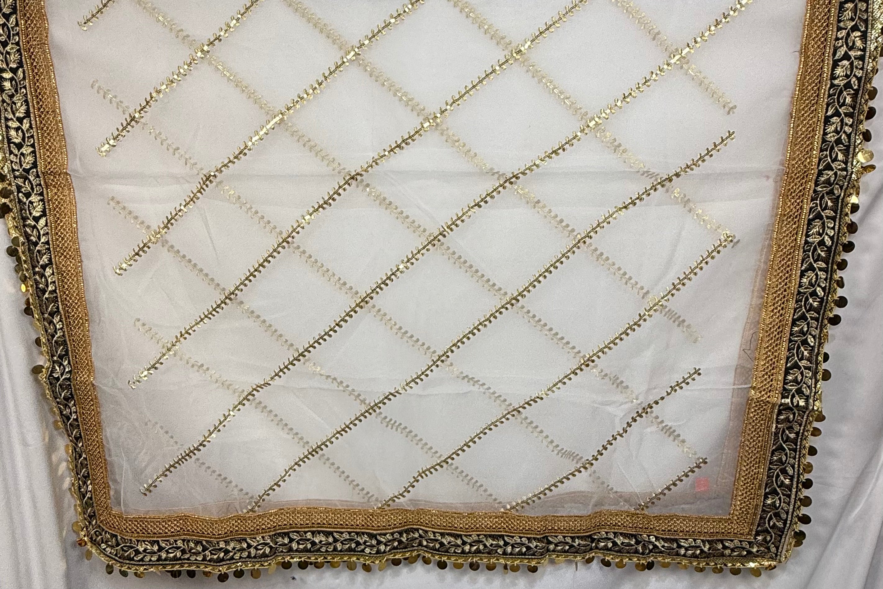 White Organza Duptta With Embroidery And Coin Lace By Areeba'S Couture