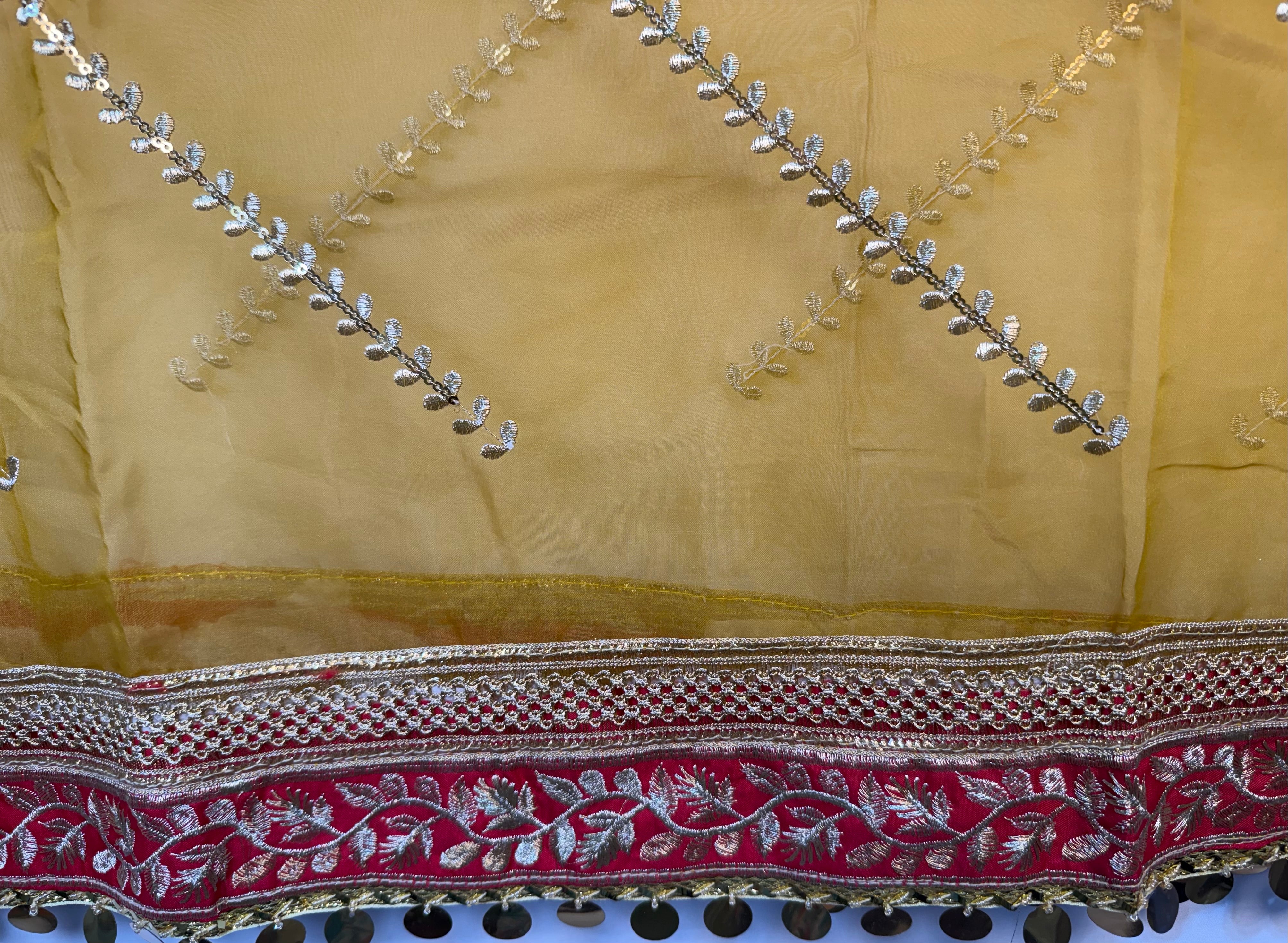 Mustard Dupptta Organza With Embroidery And Coin Lace By Areeba'S Couture