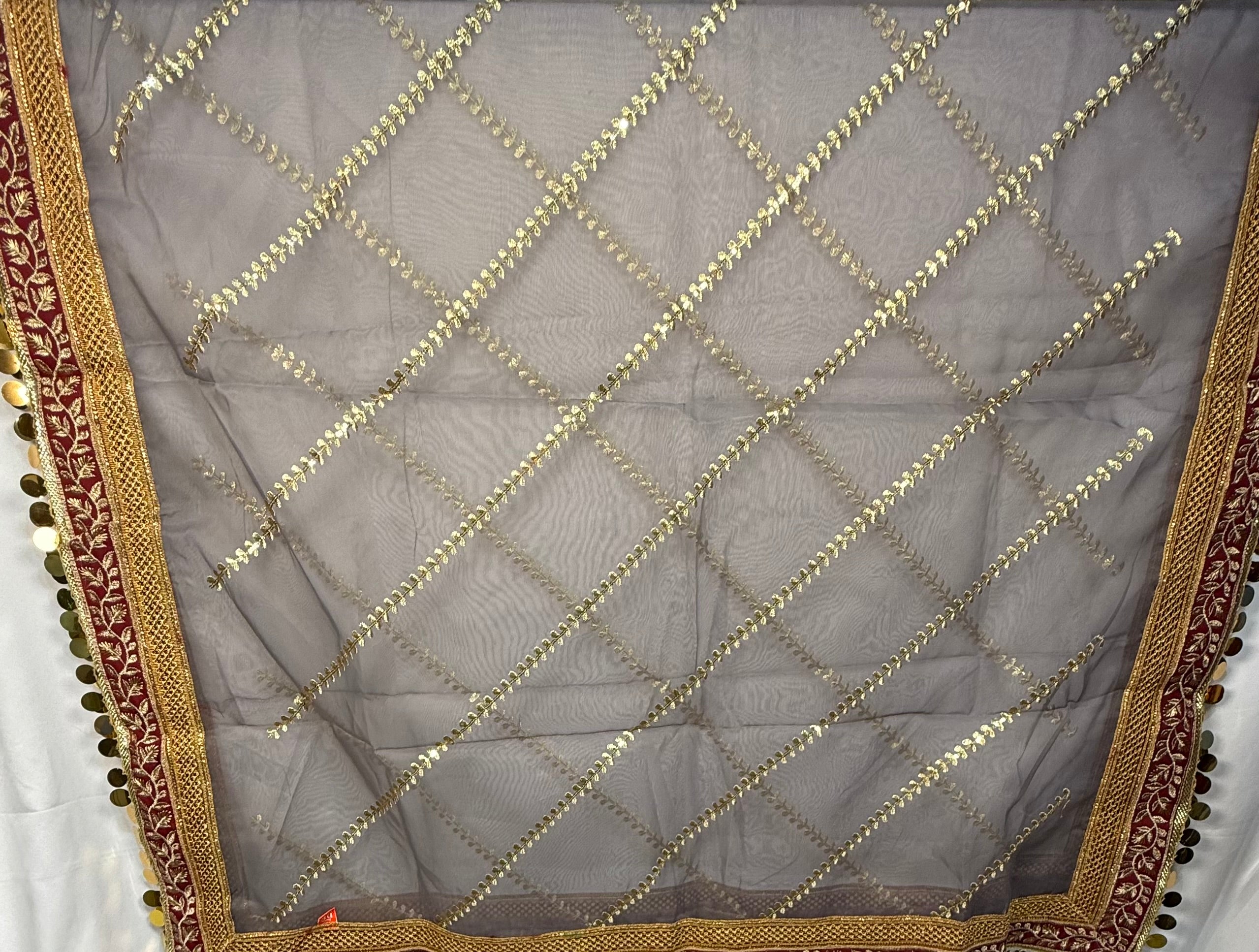 Grey Colour Organza Duptta With Embroidery And Coin Lace By Areeba'S Couture