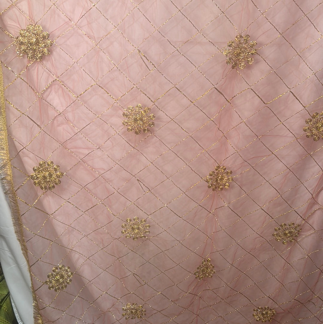 Light peach Net dupatta