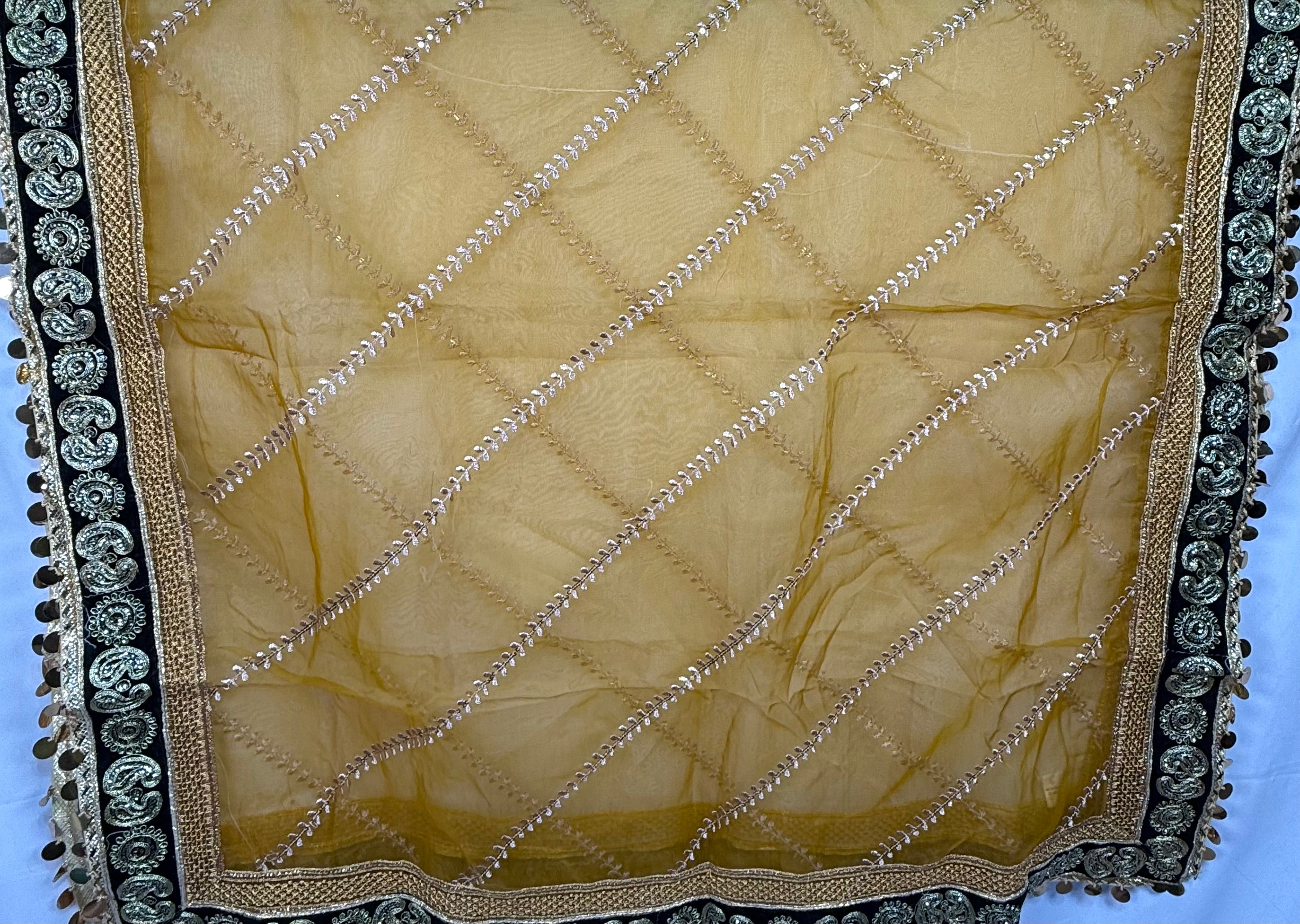 Mustard Organza Duptta With Embroidery And Coin Lace By Areeba'S Couture