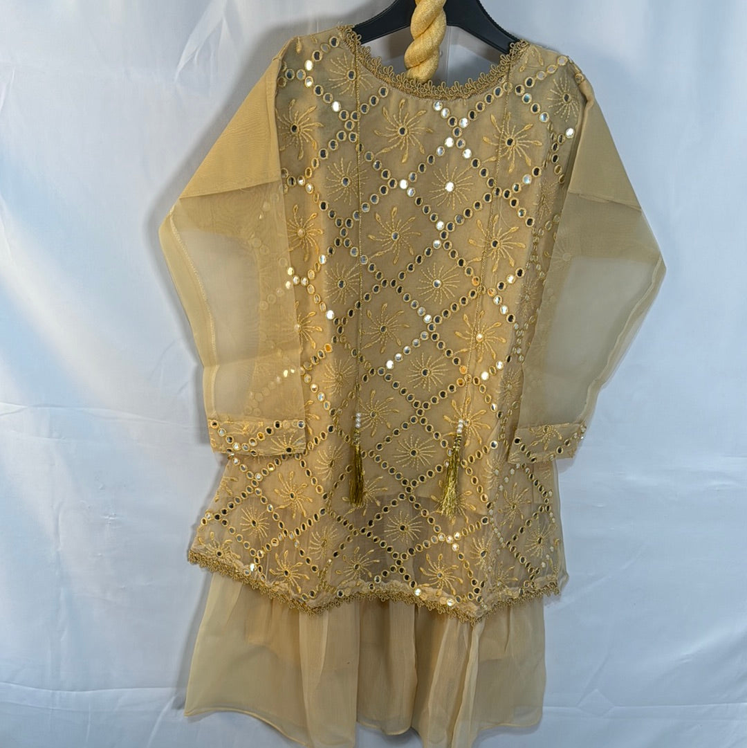 Girls Beige Chiffon Garara Collection with Embroidered Design & Matching Dupatta for Special Occasions