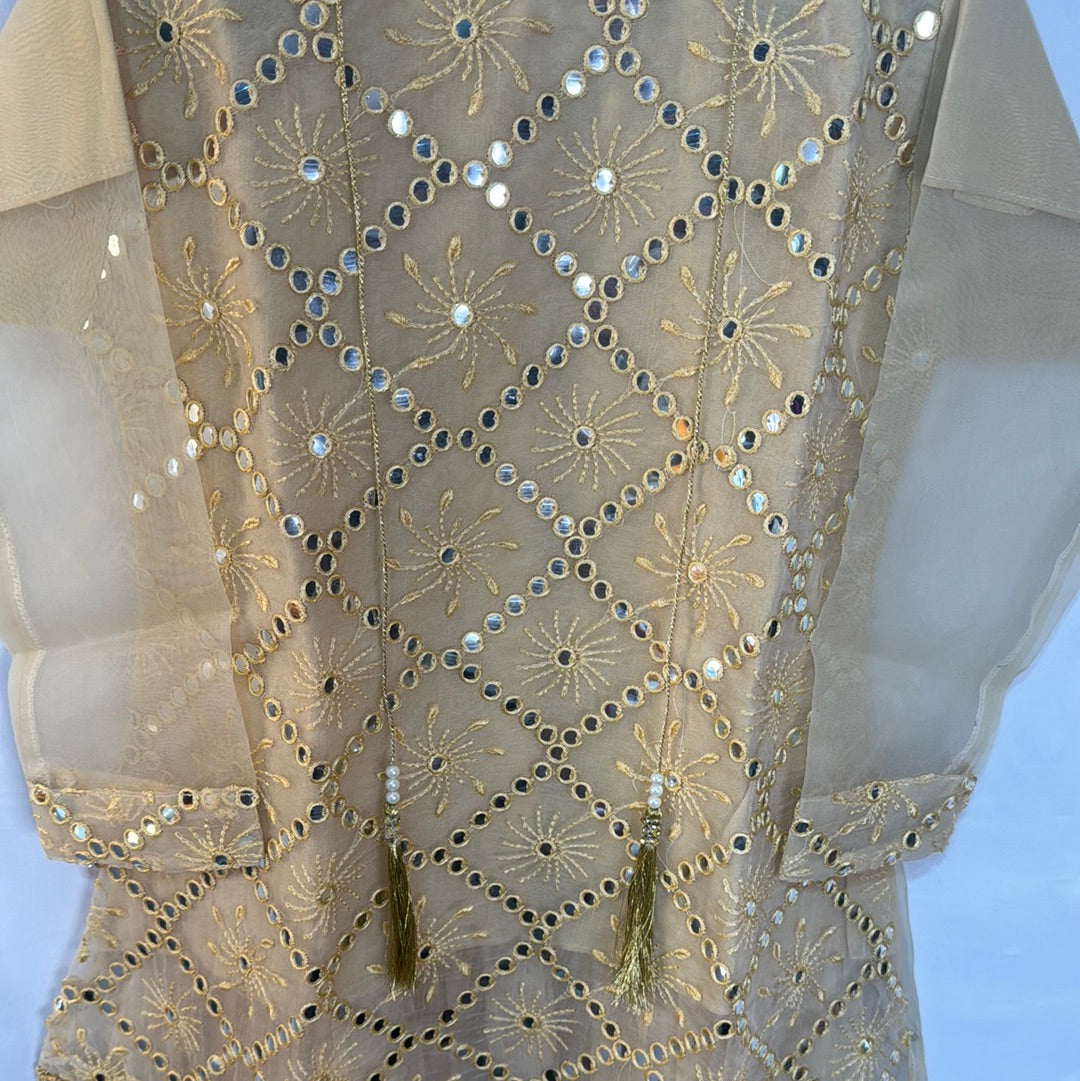 Girls Beige Chiffon Garara Collection with Embroidered Design & Matching Dupatta for Special Occasions