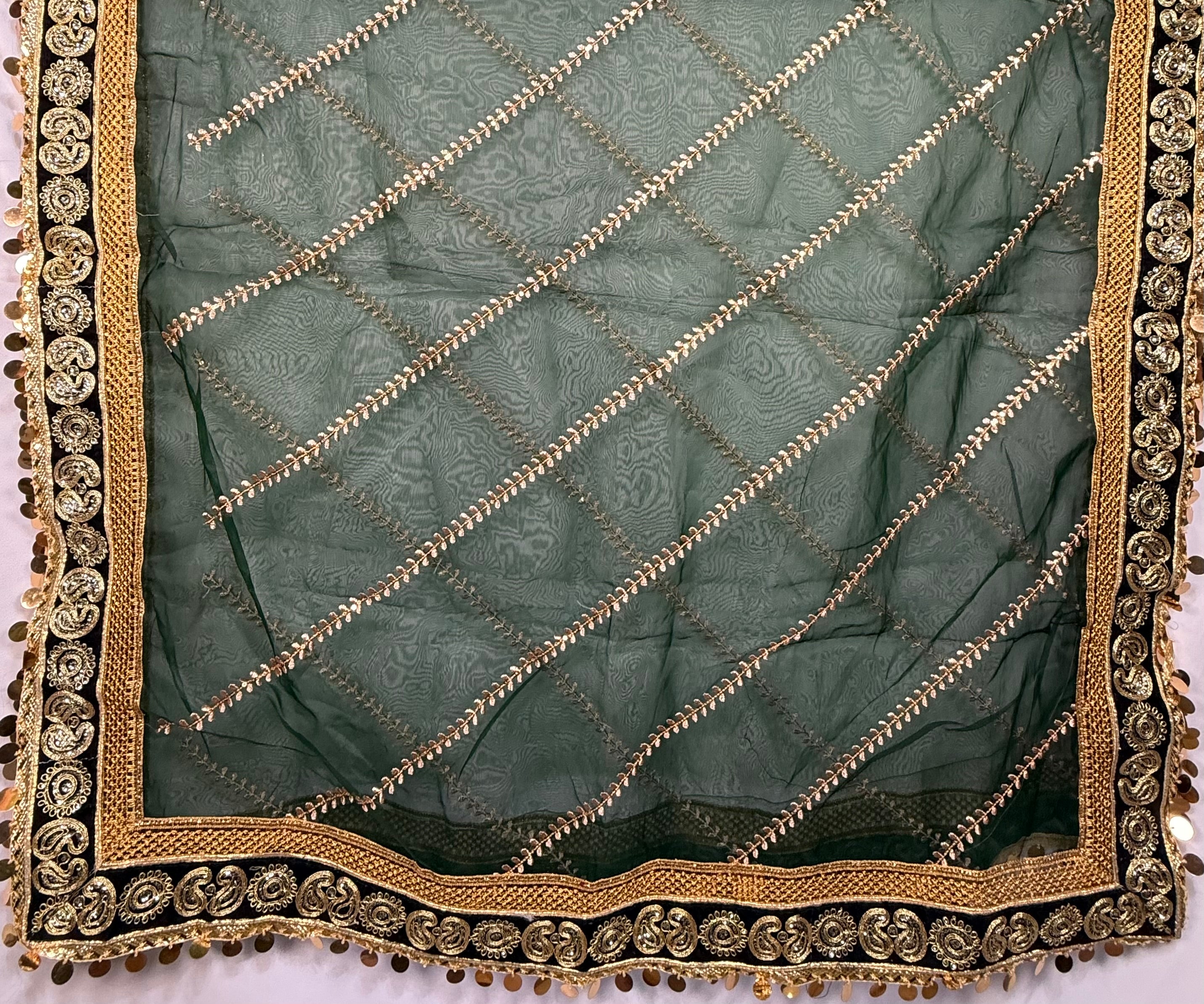 Bottle Green Organza Duptta With Embroidery And Coin Lace By Areeba'S Couture