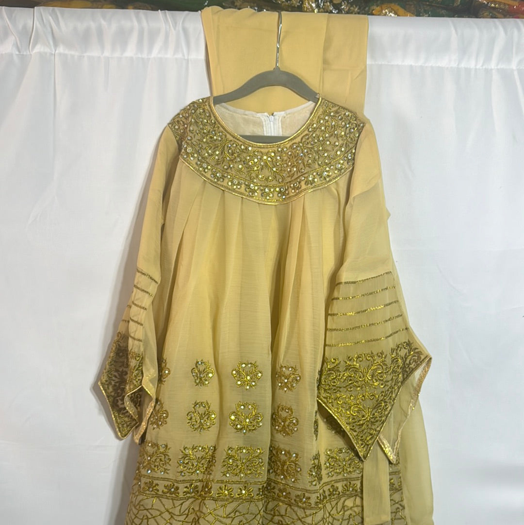 Areeba's Classic girls chiffon frock