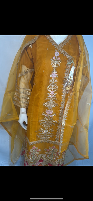 Organza frock Angrakha style suit- Areeba's Couture