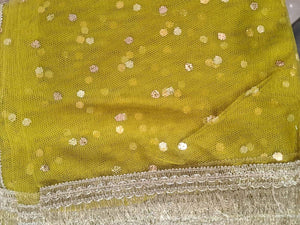 Dupatta 27- Areeba's Couture