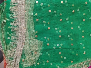 Dupatta 27- Areeba's Couture