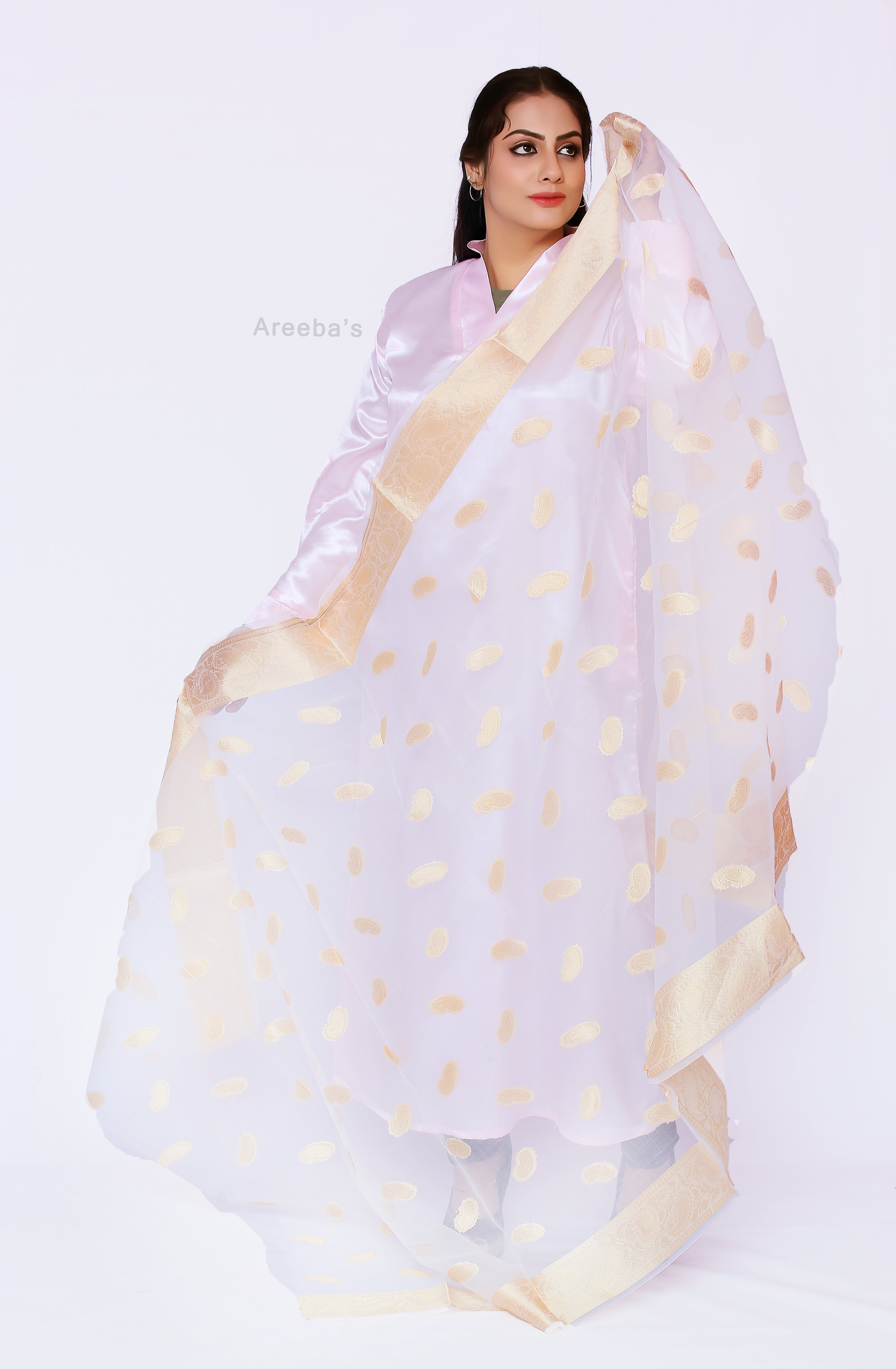 Dupatta 44- Areeba's Couture