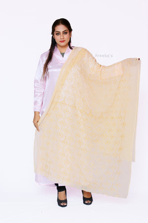 Dupatta 52- Areeba's Couture