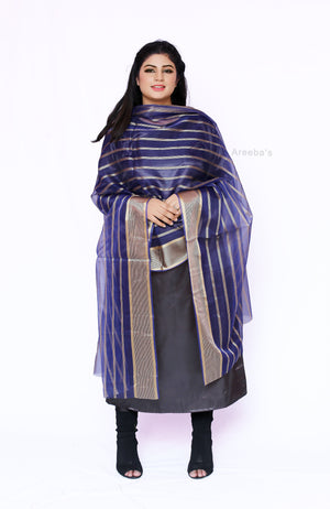 Digital printed organza- Areeba's Couture