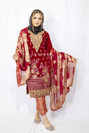 HAND WORK RED EMBROIDERED VELVET 3 PIECE PRET d6- Areeba's Couture