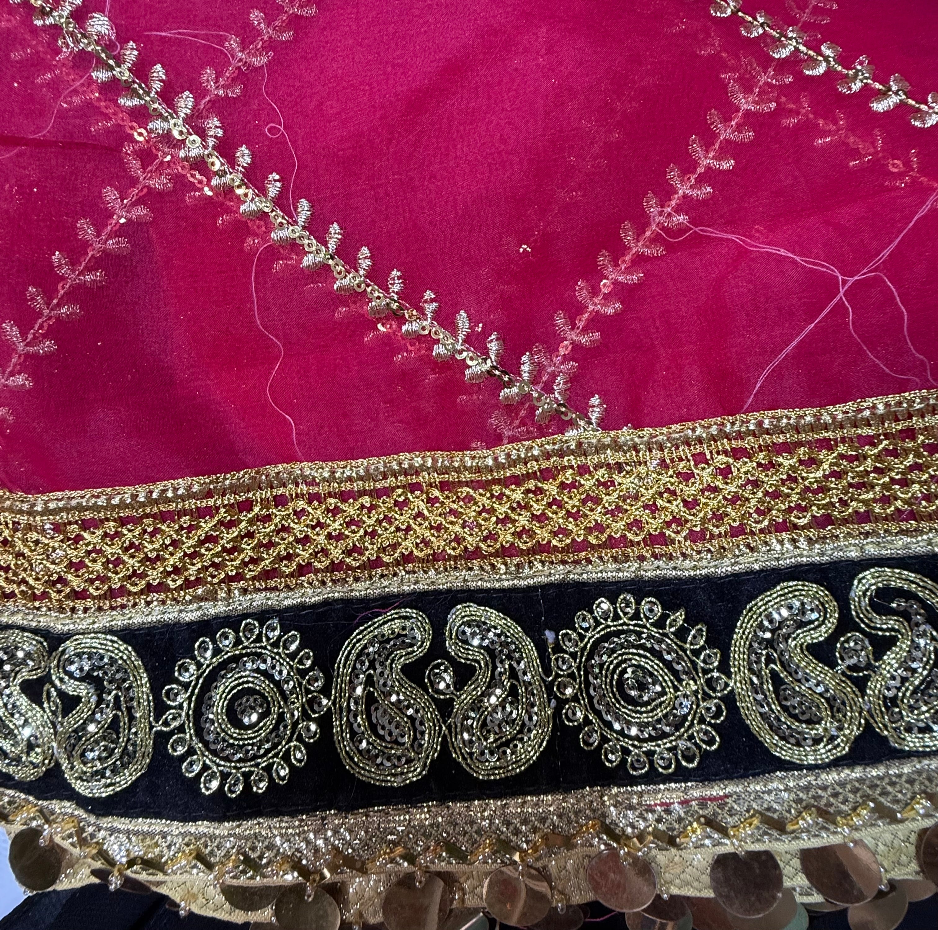 Shocking Pink Dupptta Organza Material With Coin Lace Casual Clothes
