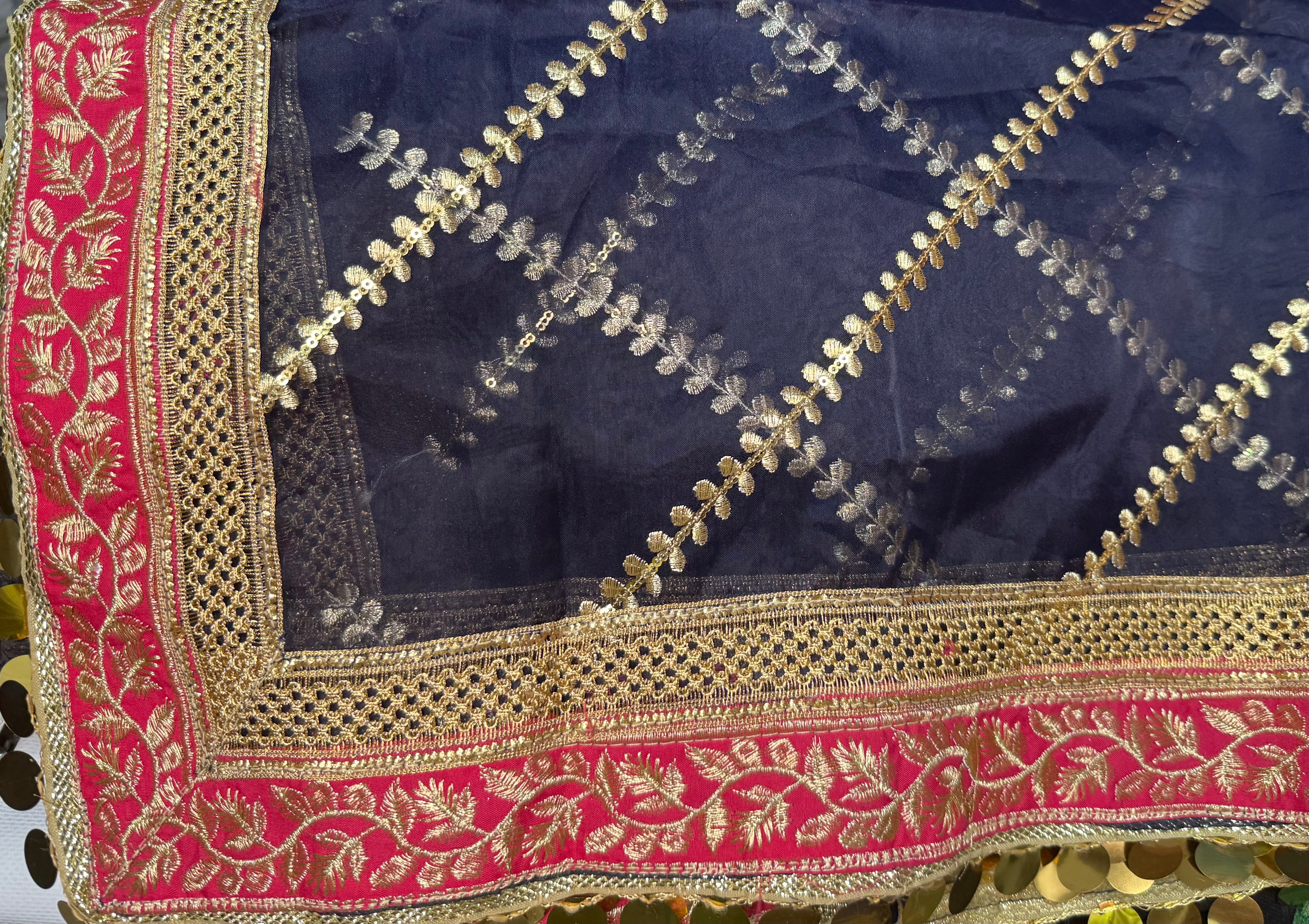 Blue Organza Duptta With Embroidery And Coin Lace By Areeba'S Couture