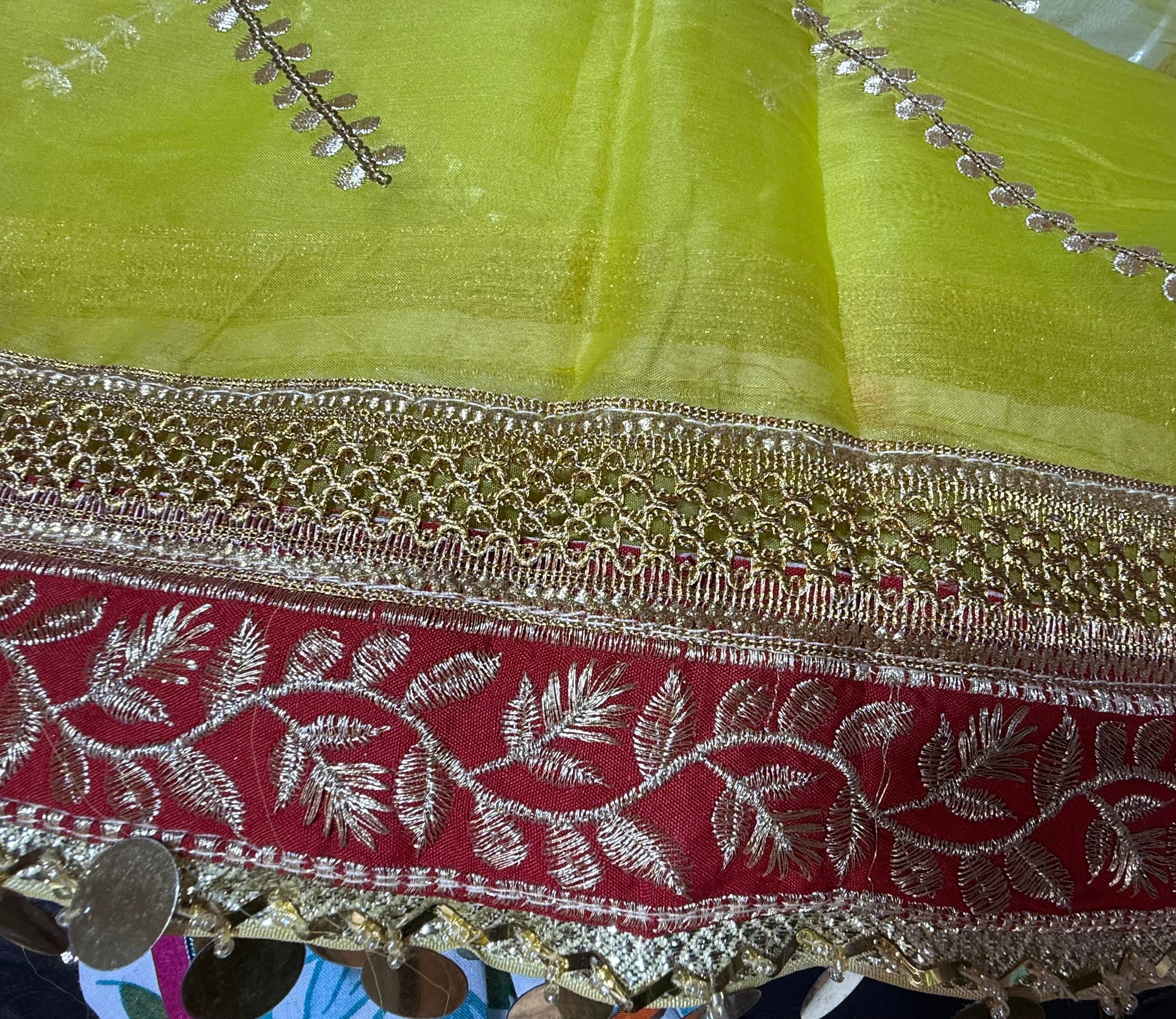 Lime Green Colour Organza Duptta With Embroidery And Coin Lace By Areeba'S Couture