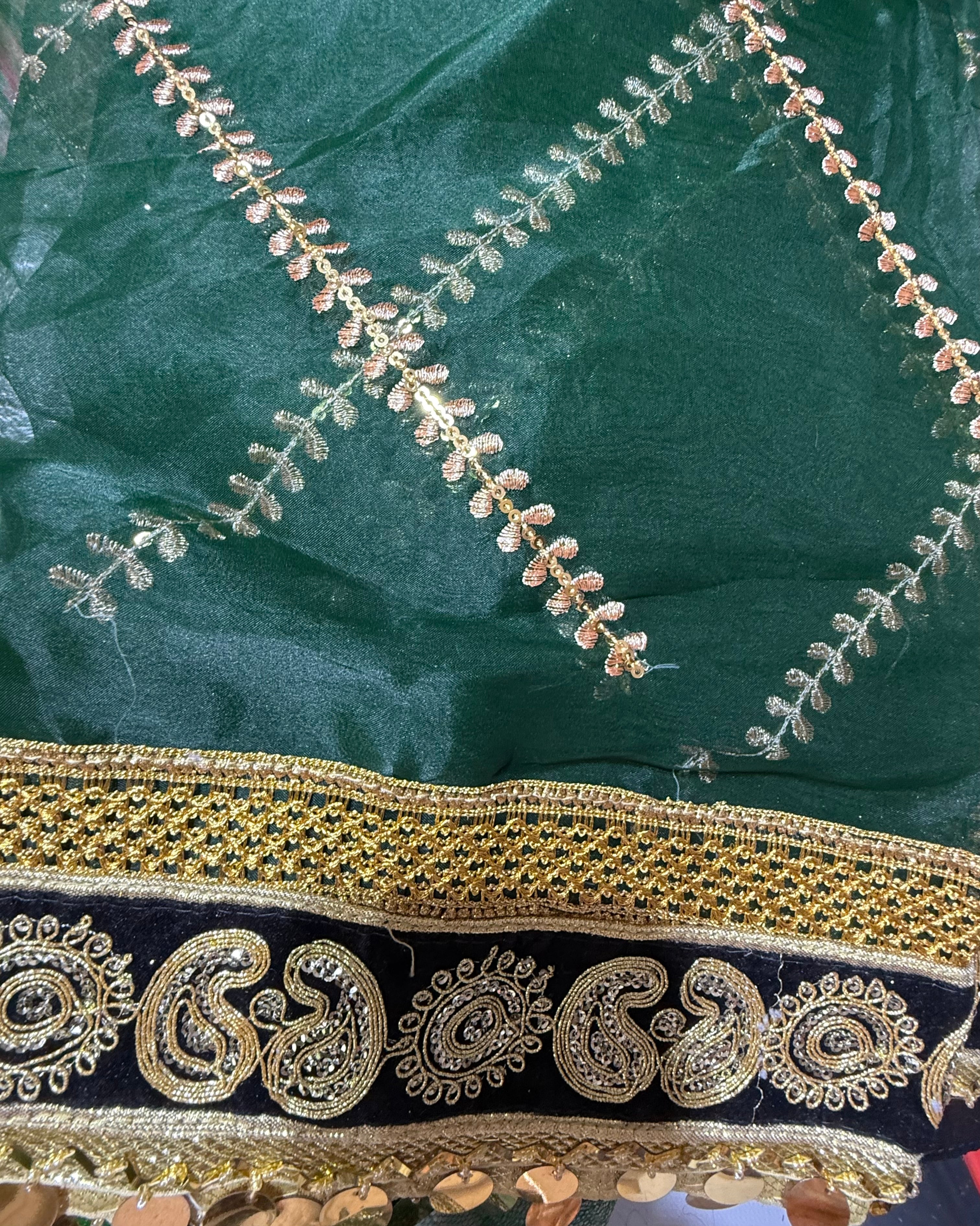 Bottle Green Organza Duptta With Embroidery And Coin Lace By Areeba'S Couture