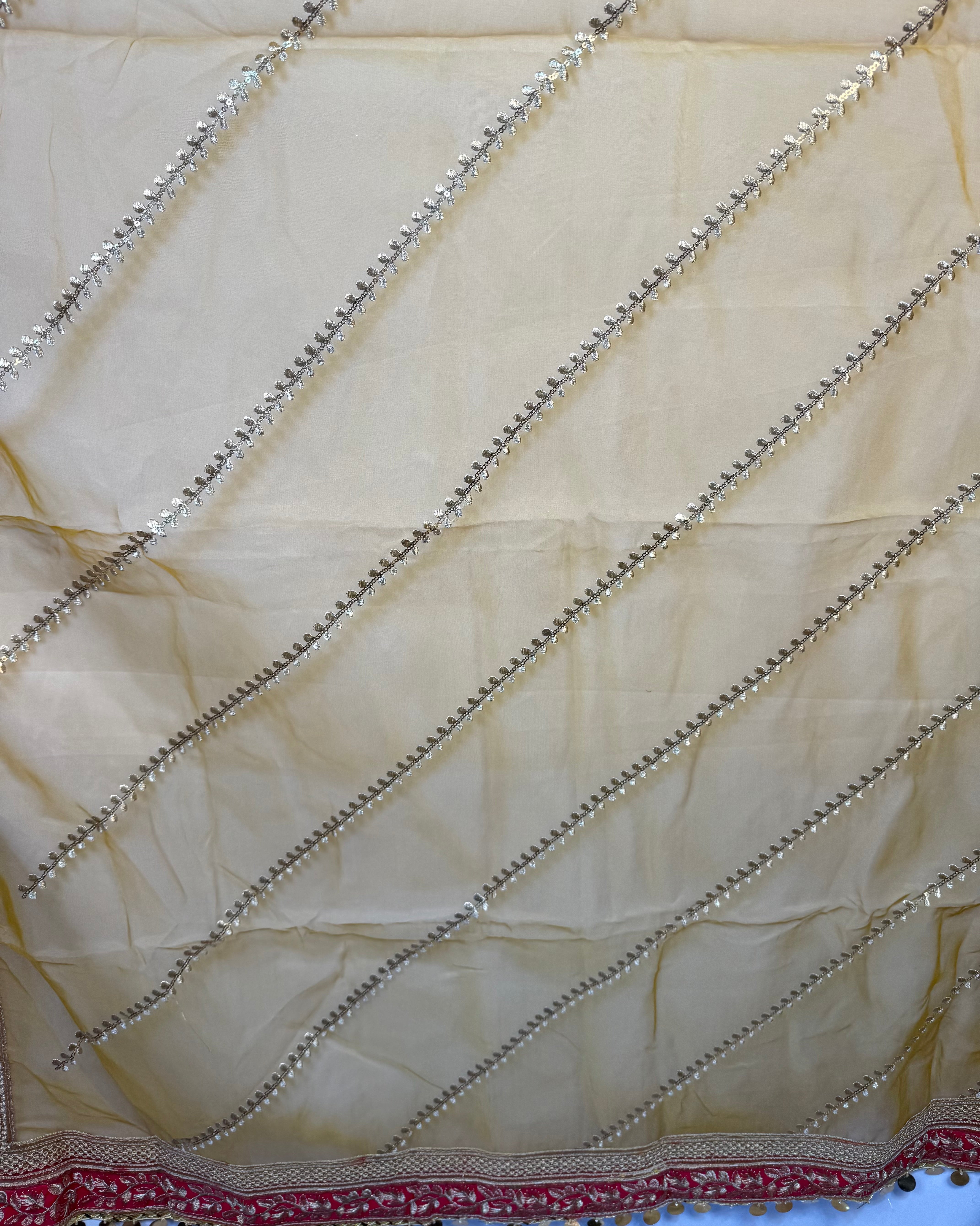 Beige Dupptta Organza With Embroidery By Areeba'S Couture