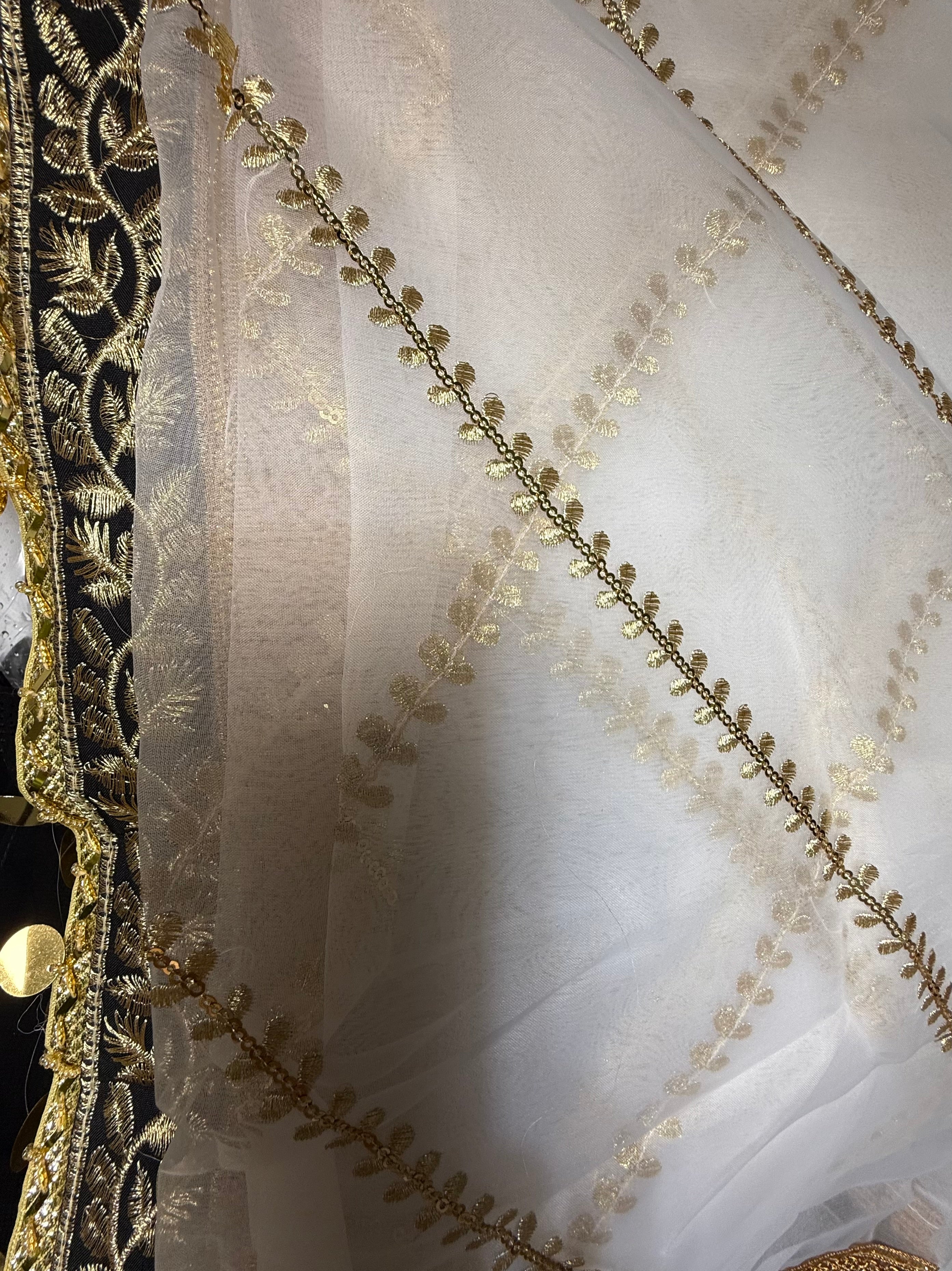 White Organza Duptta With Embroidery And Coin Lace By Areeba'S Couture