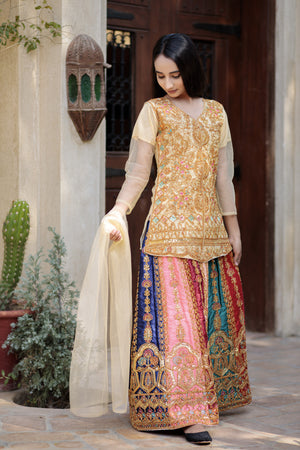 Multi colour Lehnga- Areeba's Couture