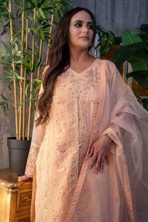 Peach Gown suit SA23- Areeba's Couture