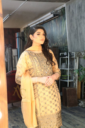 SA23 Beige organza- Areeba's Couture