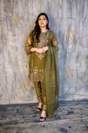 SA23 Green Organza- Areeba's Couture