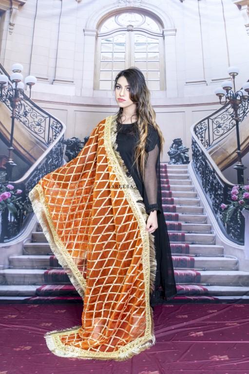 Pale Copper Net- Areeba's Couture