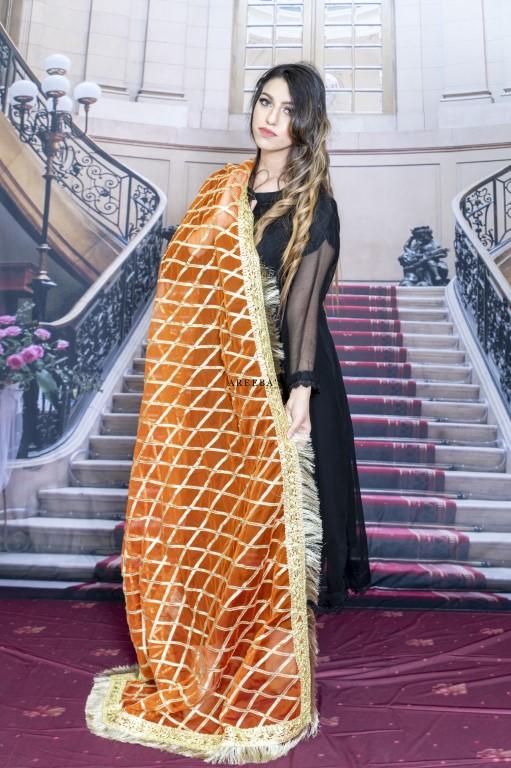 Pale Copper Net- Areeba's Couture