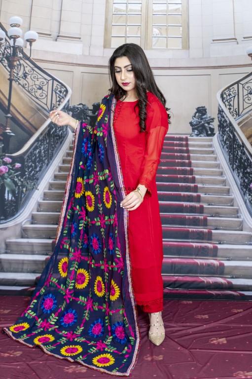 Dupatta 16- Areeba's Couture