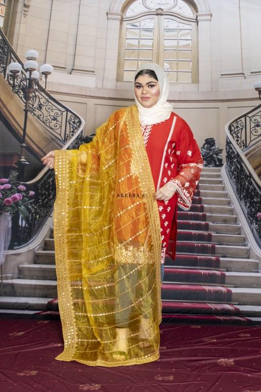 Dupatta 19- Areeba's Couture