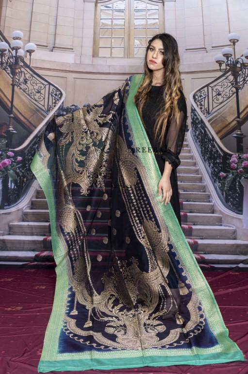 Dupatta 2- Areeba's Couture