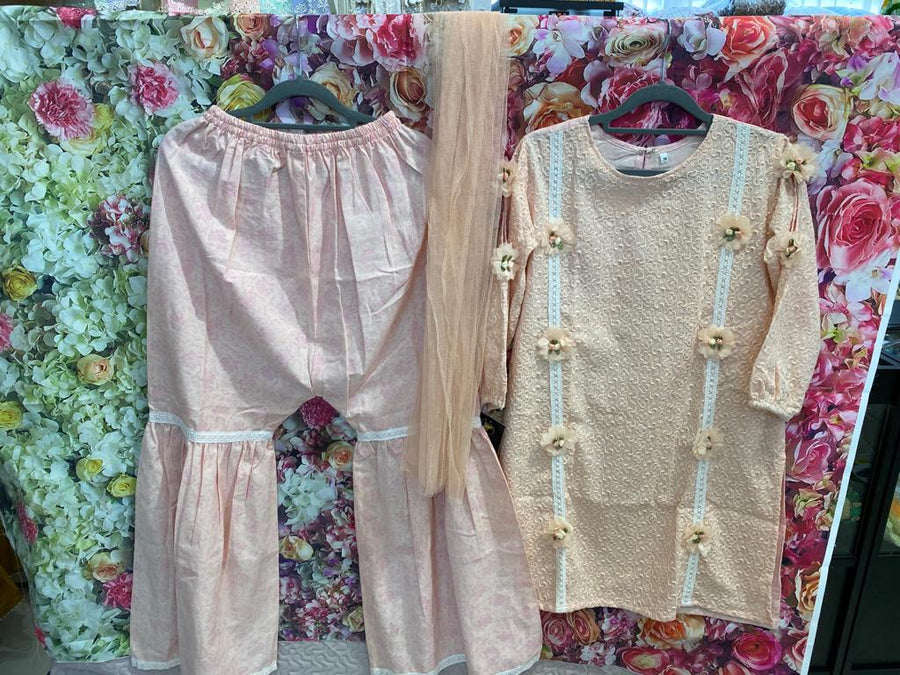 Girls 3D shirt and Sharara chikan suit peach- Areeba's Couture