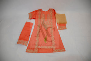 Pakistani gown style girls clothes- Areeba's Couture