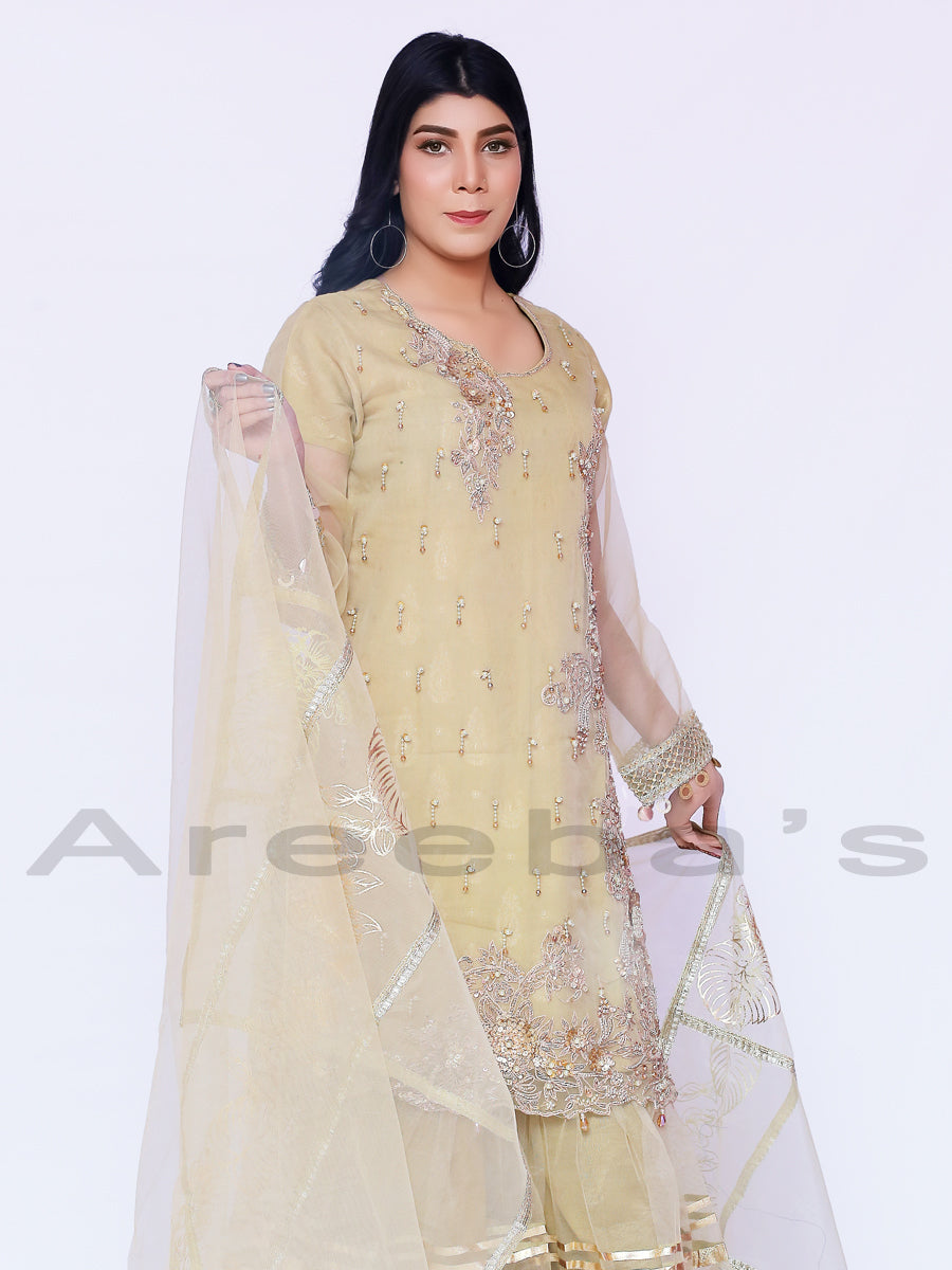 Nadia K Party suit S20- Areeba's Couture