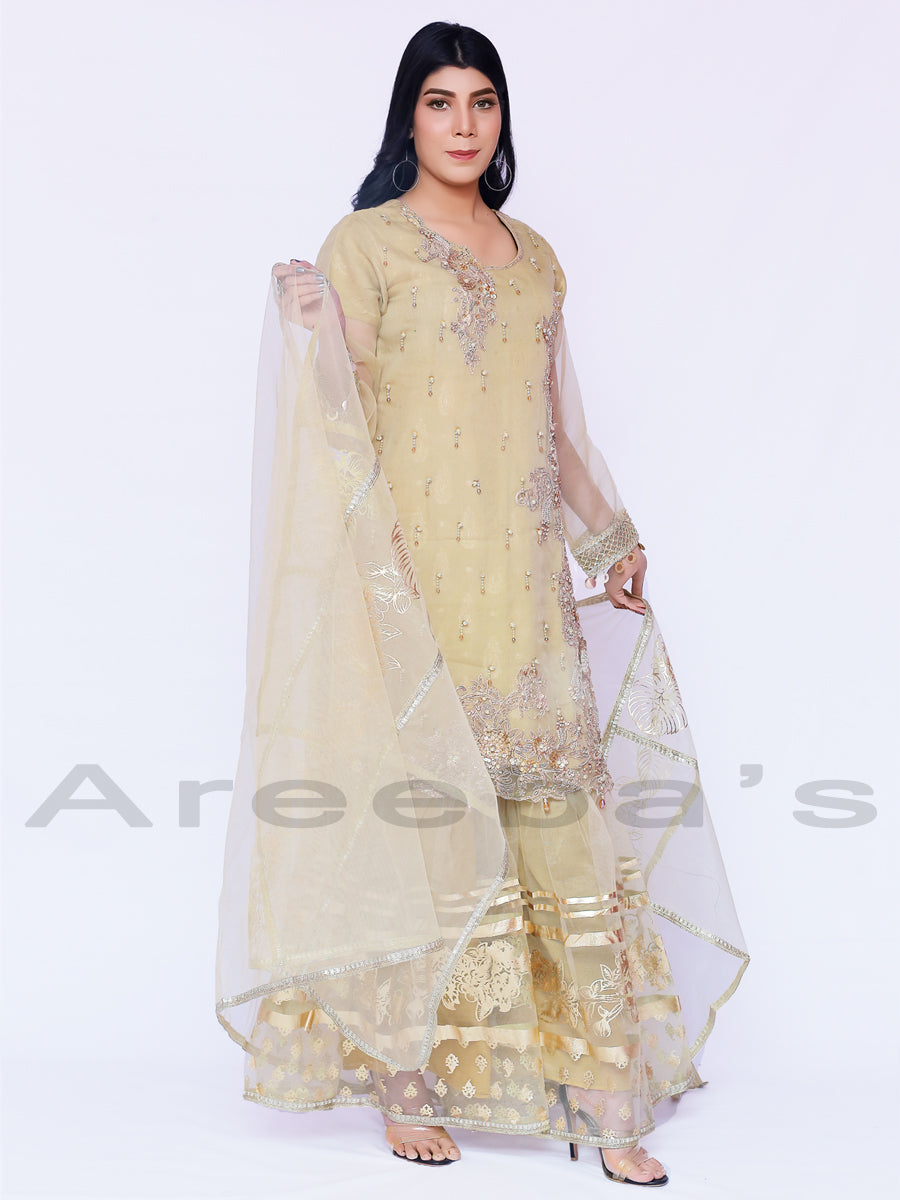 Nadia K Party suit S20- Areeba's Couture